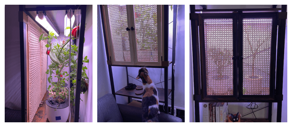 engineer-vs-cat-part-1/shelf done-3.png