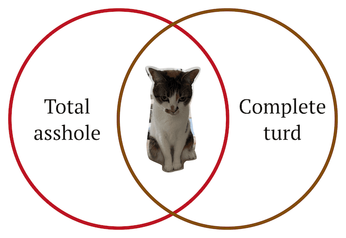 I call Dixie a turd because she poops where she's not supposed to. Like my bed. Is it a me problem or a cat problem? Probably both…