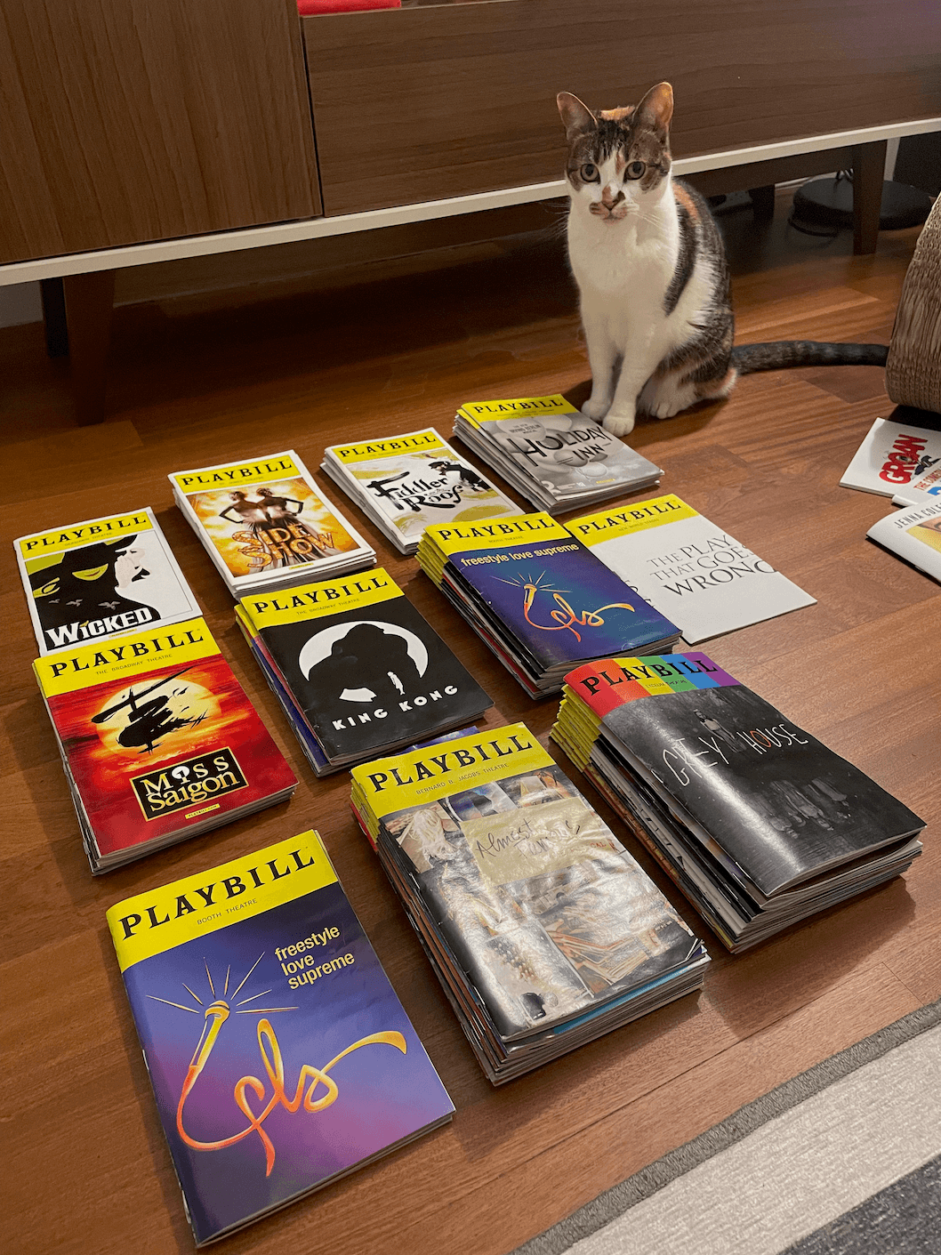 Playbills stacked by year, starting in 2013 in the top left to 2023 in the bottom right. Also shown is one unimpressed cat and some West End programs that are annoyingly less uniform in shape compared to Playbills.