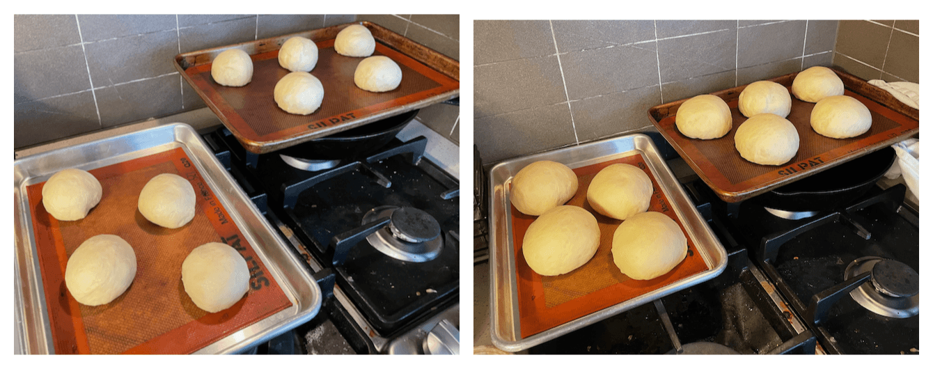 Left: Just after shaping. Right: After roughly doubling in size