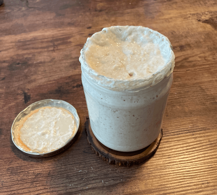 This is how the starter looks after I let it sit overnight.